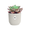 Vaso Vibes Fold Round in plastica riciclata, per esterno, stile moderno