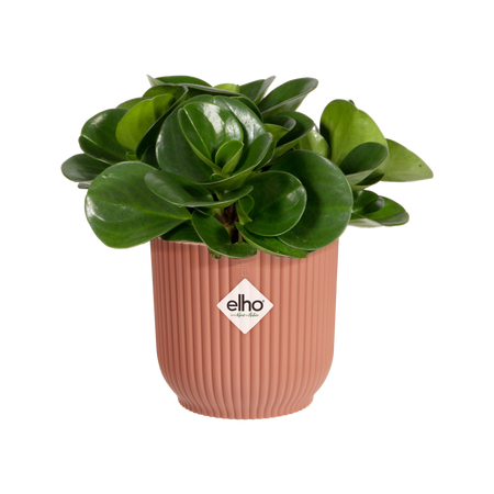 Vaso "Vibes Fold Round" in plastica riciclata, per esterno, stile moderno