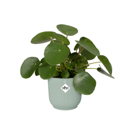 Vaso "Vibes Fold Round" in plastica riciclata, per esterno, stile moderno