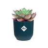 Vaso Vibes Fold Round in plastica riciclata, per esterno, stile moderno