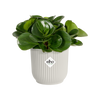 Vaso Vibes Fold Round in plastica riciclata, per esterno, stile moderno