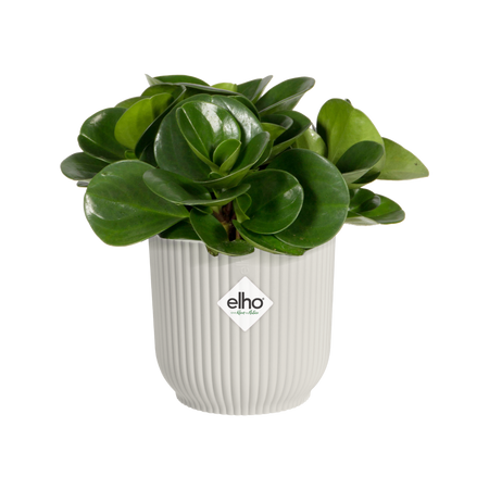 Vaso "Vibes Fold Round" in plastica riciclata, per esterno, stile moderno