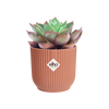 Vaso Vibes Fold Round in plastica riciclata, per esterno, stile moderno