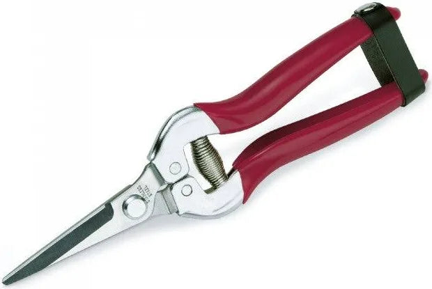 Forbici Vendemmia e Giardino a Lama Dritta Inox Archman