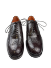 Scarpa Uomo Santoni - Oxford Stringate Brogue pelle testa di moro