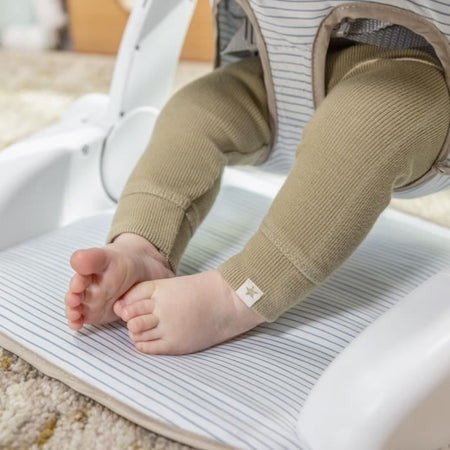 Sedile didattico INGENUITY Prop Spot, 3 posizioni di seduta, tablet e 2 giocattoli, Casi la zebra