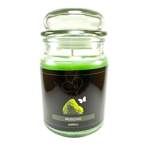 Candela Profumata al Muschio 750 gr 150 ore - INIMA
