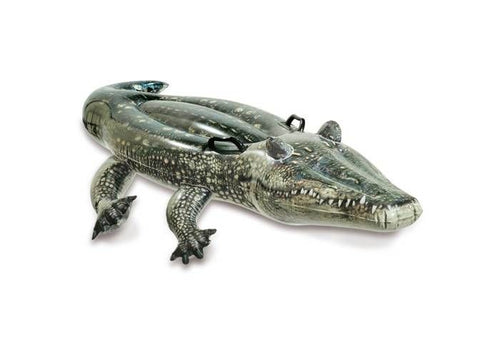 INTEX Alligator giro
