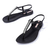 Ipanema Class Chic Sandal scarpe Donna
