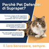 360-pet-2
