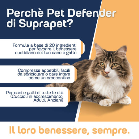 360-pet-2
