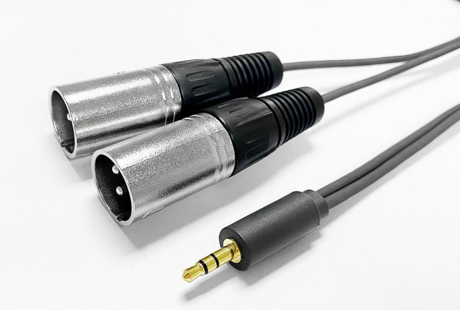 3.5MM CABLE to 2 x XLR male 2m