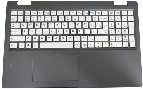 Palmrest assembly with