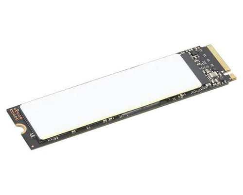 TP 1TB SSD PERFORM PCIE G4