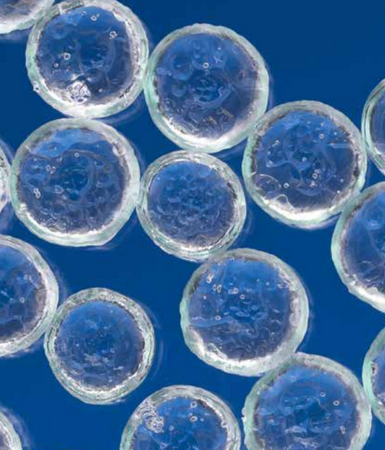 Polimero idroretentore "Idrovita" per crescita corretta di piante e fiori