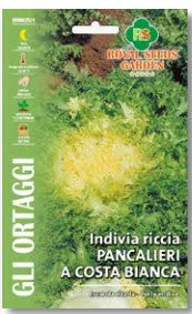 Indivia Riccia Pancalieri A Costa Bianca gr.10 Semi Royal Seeds