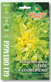 Rindivia Scarola Verde A Cuore Pieno