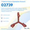 Tridente erpice adattabile Howard in ghisa