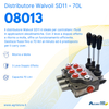 Distributore Walvoil SD11 a 3 leve doppio effetto - 70L