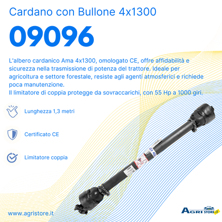 Cardano con bullone di trancio 4x1300