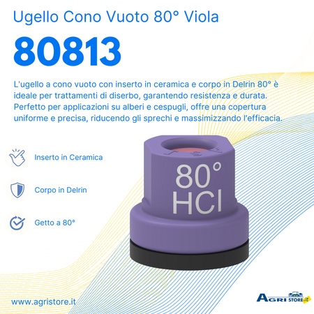 Ugello cono vuoto con inserto ceramica e corpo in Delrin 80° viola