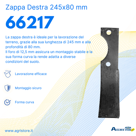 Zappa dx L 245,H 80,foro 12,5