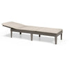 ALLIBERT by KETER - Lettino prendisole Jaipur a 4 posizioni con cuscino - imitazione rattan - colore cappuccino.