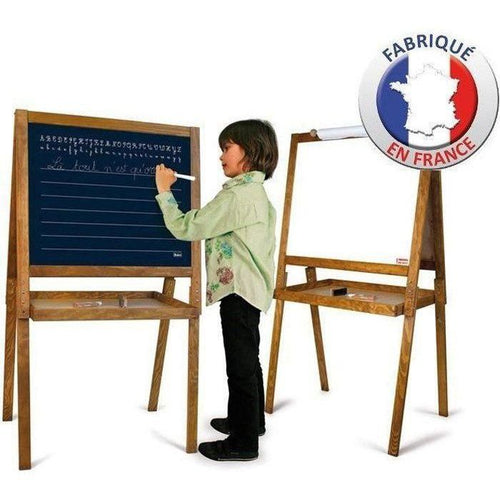 Big Picture Disegno Ecoli