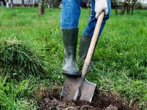 Badile a punta per giardino con manico a D in fibra di resina