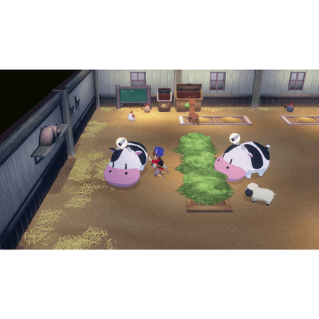 Story of Seasons: Grand Bazaar - Gioco per Nintendo Switch 2