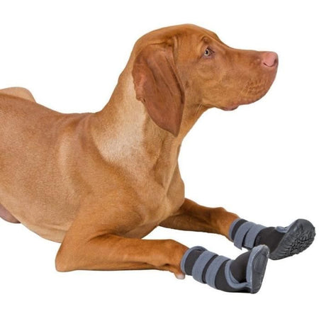 Kerbl Active Dog Paw Protector - Taglia unica - Gomma traspirante - Antiscivolo