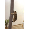 Sacco da arrampicata per gatti - KERBL - CLIMBER - 16 x 16 x 240 cm - Montaggio a soffitto - Grigio