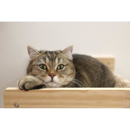 Amaca da parete per gatti - KERBL - TIMBER - 38 x 33,5 x 16 cm - Legno massiccio - Tessuto felpato