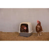 Nido per galline - KERBL - 52 x 39 x 39 cm