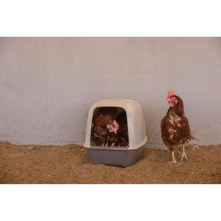Nido per galline - KERBL - 52 x 39 x 39 cm