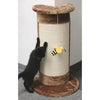 Albero marrone gatto angolare
