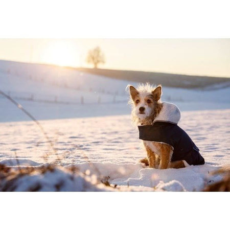 Caldo cappotto per cani - KERBL - TEDDY - 48 cm - Blu
