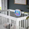 Baby Einstein Notte Sogni