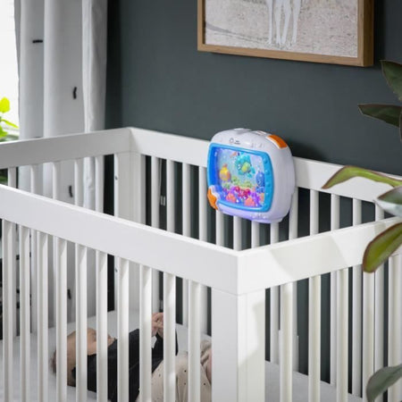 Baby Einstein Notte Sogni