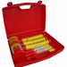 Kit Francia Oltre 6 M.