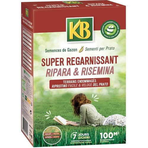 KB KREGFAC100 Semi per prato - Super rigenerante 2 kg - Per zone d'ombra - Germinazione rapida 7 giorni - Per 100 m