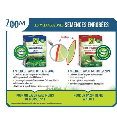 KB KREGFAC100 Semi per prato - Super rigenerante 2 kg - Per zone d'ombra - Germinazione rapida 7 giorni - Per 100 m