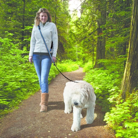 Guinzaglio a mani libere - KURGO - QUANTUM - 6 posizioni - da 120 a 180 cm - Blu