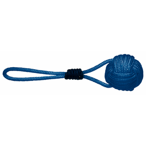 Lancia Sagola Blu