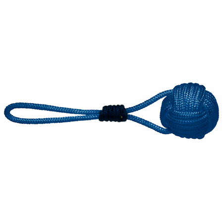 Lancia Sagola Blu