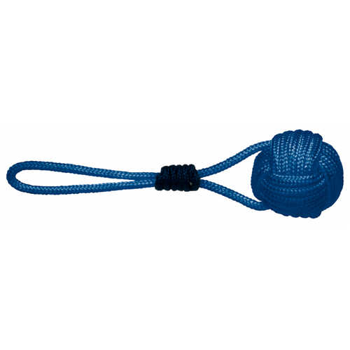 Lancia Sagola Blu