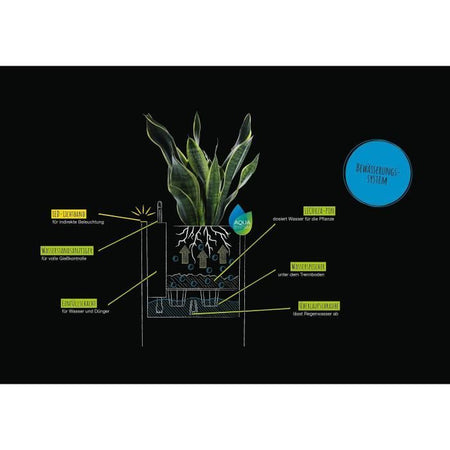 Vaso da fiori LECHUZA Canto Stone Column 40 - kit LED completo, nero grafite