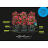 Vaso da fiori LECHUZA Trio Cottage 30 - kit completo grigio chiaro