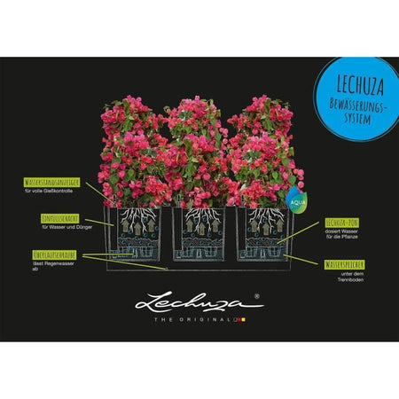 Vaso da fiori LECHUZA Trio Cottage 30 - kit completo grigio chiaro