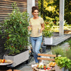 Vaso da fiori LECHUZA Trio Cottage 30 - kit completo grigio chiaro